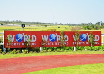 FAIRVIEW HORSE RACING