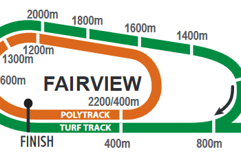 FAIRVIEW BETTING
