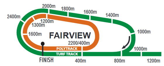 FAIRVIEW BETTING