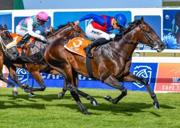 world sports betting cape met