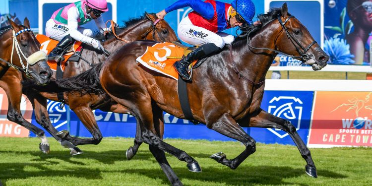 world sports betting cape met