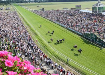 Get Ready for Thrills: Four Days of York Festival