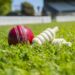 CRICKET PREVIEW