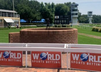 vaal horse racing