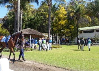 DURBANVILLE TRACKSIDE