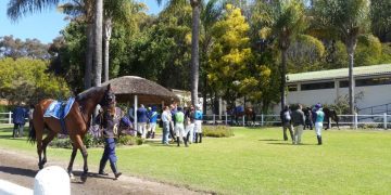 DURBANVILLE TRACKSIDE