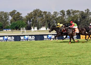 vaal races