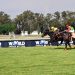 vaal races