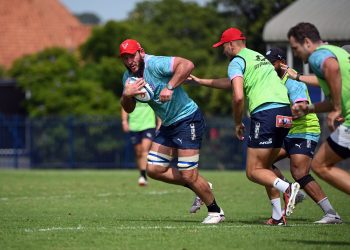 BULLS RUGBY