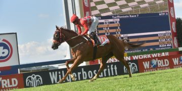 CHAMPIONS DAY SATURDAY 06 APRIL 2024