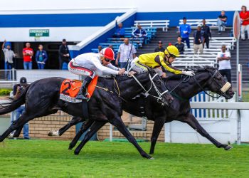 HOLLYWOODBETS DURBAN JULY FAVOURITE