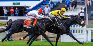 HOLLYWOODBETS DURBAN JULY FAVOURITE