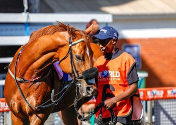 GREYVILLE HORSE RACING