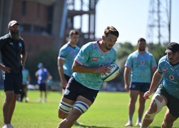 vermaak Bulls