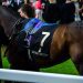 ROYAL ASCOT