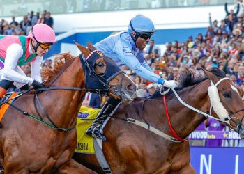 hollywoodbets Durban july betting