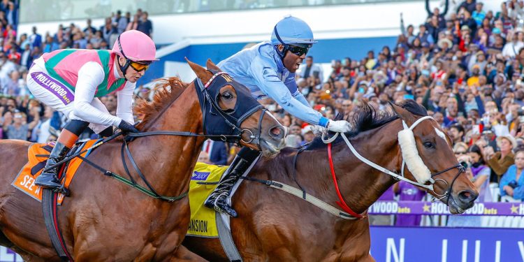 hollywoodbets Durban july betting