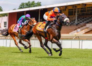 FAIRVIEW FRIDAY 21 JUNE 2024