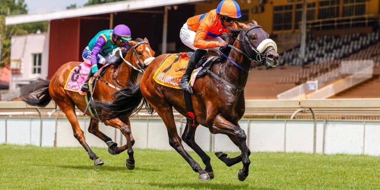 FAIRVIEW FRIDAY 21 JUNE 2024