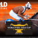 GOLD CUP BETTING