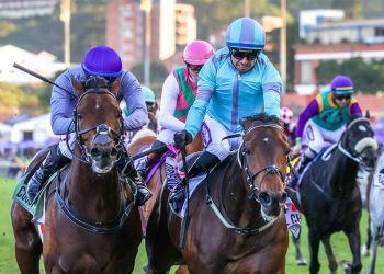 HOLLYWOODBETS DURBAN JULY
