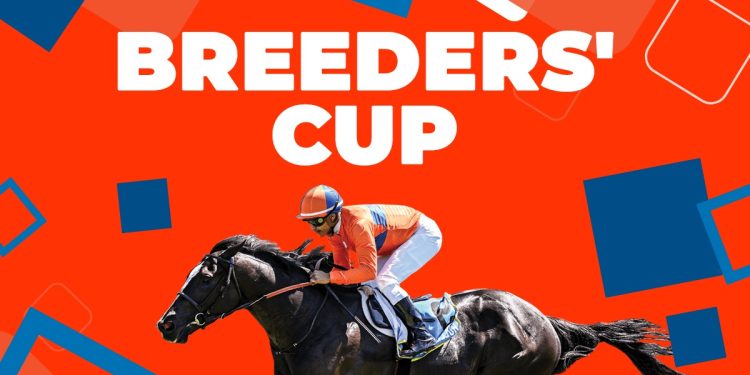BREEDERS CUP PREVIEW