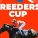 BREEDERS CUP PREVIEW