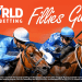 fillies guineas betting