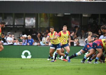 Investec Champions Cup