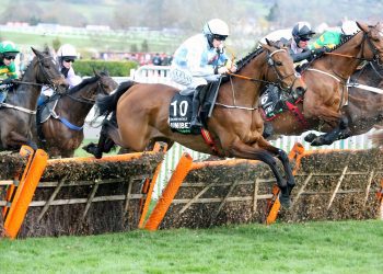 The 2025 Cheltenham Festival – Where Champions Rise!