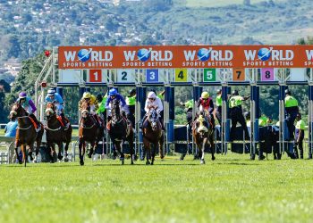 WORLD SPORTS BETTING HORE RACING