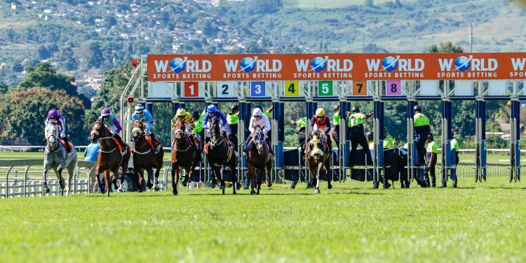 WORLD SPORTS BETTING HORE RACING