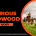 GLORIOUS GOODWOOD 2025 BETTING