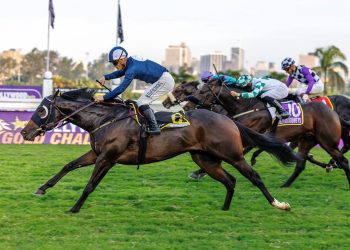 Greyville Betting Preview – Sunday, 27 July 2025