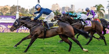 Greyville Betting Preview – Sunday, 27 July 2025