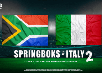 springboks betting
