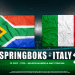 springboks betting