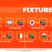 SPRINGBOKS BETTING