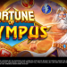 FORTUNE OF OLYMPUS