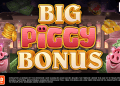 BIG PIGGY BONUS