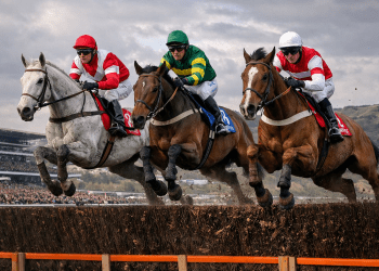 jump racing bet with the best