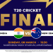 CRICKET WORLD CUP FINAL