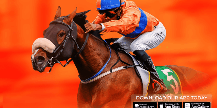 BEST ODDS GUINEAS