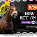 HOW TO BET ON THE DURBAN JULY