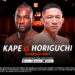 UFC FIGHT NIGHT
