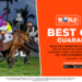 BEST ODDS GREYVILLE