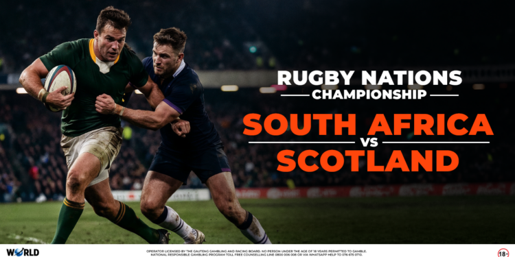 springboks nations championships