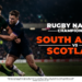 springboks nations championships