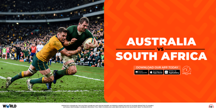 SPRINGBOKS BETTING