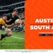 SPRINGBOKS BETTING